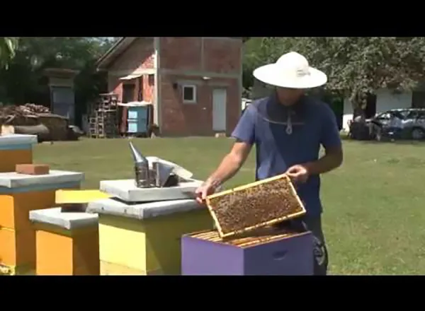 Mladenovac: Nagrađen mladi pčelar Igor Stanković